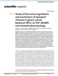 Study of the Active Ingredients and Mechanism of Sparganii Rhizoma In