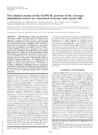 Two Distinct Forms of the 64,000 Mr Protein of the Cleavage Stimulation Factor Are Expressed in Mouse Male Germ Cells