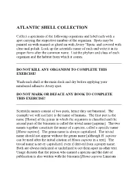Atlantic Shell Collection