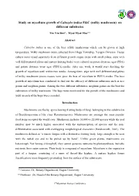 Study on Mycelium Growth of Calocybe Indica P&C (Milky Mushroom) on Different Substrates