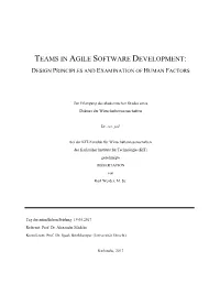 Teams in Agile Software Development: Design Principles and Examination of Human Factors