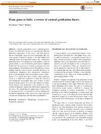From Genes to Folds: a Review of Cortical Gyrification Theory