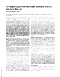 Interrogating Protein Interaction Networks Through Structural Biology