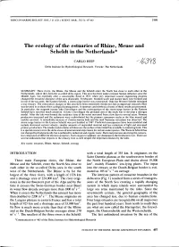 The Ecology O F the Estuaries of Rhine, Meuse and Scheldt in The