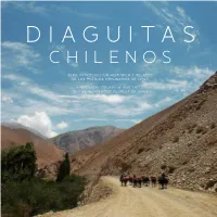 Diaguitas Chilenos