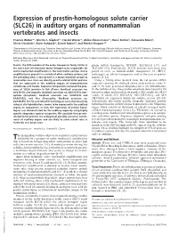Expression of Prestin-Homologous Solute Carrier (SLC26) in Auditory Organs of Nonmammalian Vertebrates and Insects
