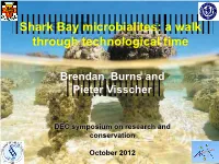 Shark Bay Microbialites: a Walk Through Technological Time