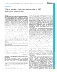 Why Do Models of Insect Respiratory Patterns Fail? John S