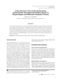 (Echinoidea: Camarodonta: Strongylocentrotidae) Based on Morphological and Molecular Analysis in Korea