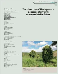 The Clove Tree of Madagascar : a Success Story with an Unpredictable