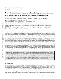 Volume Change and Advective Flow Within the Myofilament Lattice