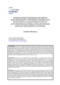 Where Nitrite Respiration Meets Electrotrophy: Diversity Studies and Functional Characterization of Autotrophic Bacterial Isolates from Bioelectrochemical Systems