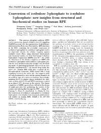Conversion of D-Ribulose 5-Phosphate to D-Xylulose 5-Phosphate: New Insights from Structural and Biochemical Studies on Human RPE