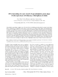 DNA Barcoding of a New Record of Epi-Endophytic Green Algae Ulvella Leptochaete (Ulvellaceae, Chlorophyta) in India