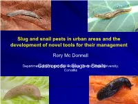 Gastropods = Slugs + Snails