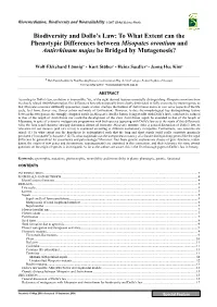To What Extent Can the Phenotypic Differences Between Misopates Orontium and Antirrhinum Majus Be Bridged by Mutagenesis?