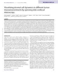 Visualizing Stromal Cell Dynamics in Different Tumor Microenvironments by Spinning Disk Confocal Microscopy