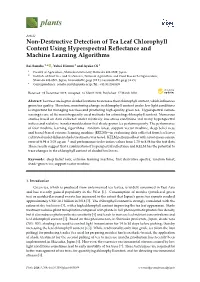 Non-Destructive Detection of Tea Leaf Chlorophyll Content Using Hyperspectral Reﬂectance and Machine Learning Algorithms