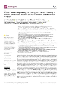 Whole-Genome Sequencing for Tracing the Genetic Diversity of Brucella Abortus and Brucella Melitensis Isolated from Livestock in Egypt