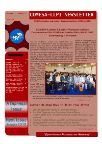 Comesa-Llpi Newsletter Revised.Pub