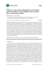 A Review of the Surface Modification of Cellulose and Nanocellulose