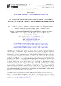 The Indo-Pacific Amalda (Neogastropoda, Olivoidea, Ancillariidae) Revisited with Molecular Data, with Special Emphasis on New Caledonia