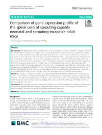 Comparison of Gene Expression Profile of the Spinal Cord Of