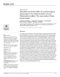 Versatile Use of Microliths As a Technological Advantage in the Miniaturization of Late Pleistocene Toolkits: the Case Study of Neve David, Israel