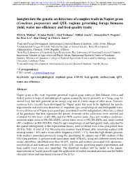 Insights Into the Genetic Architecture of Complex Traits in Napier Grass