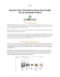Pay-Per-Click Advertising Skyrockets Profits for an Ecommerce Store