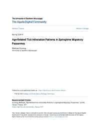 Age-Related Tick Infestation Patterns in Springtime Migratory Passerines