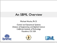 An SBML Overview