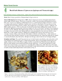Beech Bark Disease (Cryptococcus Fagisuga and Neonectria Spp.)