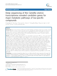 Deep Sequencing of the Camellia Sinensis Transcriptome Revealed