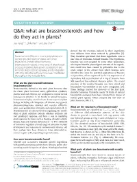 Q&A: What Are Brassinosteroids and How Do They Act in Plants?