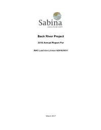 Back River Project