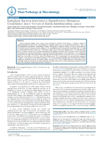 Endophytic Bacteria Associated to Sharpshooters (Hemiptera: Cicadellidae), Insect Vectors of Xylella Fastidiosa Subsp