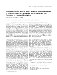 Implications for the Evolution of Human Bipedalism