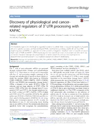 Related Regulators of 3′ UTR Processing with KAPAC Andreas J