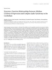 Structure–Function Relationships Between Aldolase C/Zebrin II Expression and Complex Spike Synchrony in the Cerebellum