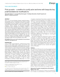 A Method to Purify Actin Isoforms with Bespoke Key Post-Translational