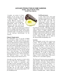 Avocado Production in Home Gardens Revised
