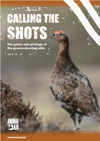 Calling the Shots Executive Summary