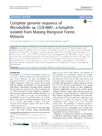 Complete Genome Sequence of Microbulbifer Sp. CCB-MM1, A