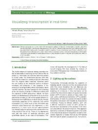 Visualizing Transcription in Real-Time