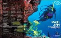 An Unscripted Dive Guide to the U.S. Virgin Islands