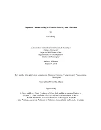 Expanded Understanding of Eleusine Diversity and Evolution