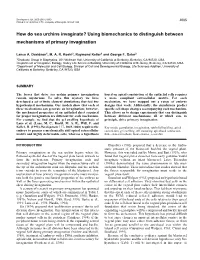How Do Sea Urchins Invaginate? Using Biomechanics to Distinguish Between Mechanisms of Primary Invagination