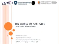 Particle Physics Workshop for Primary Schools.Pdf