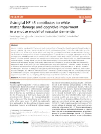 Astroglial NF-Kb Contributes to White Matter Damage and Cognitive Impairment in a Mouse Model of Vascular Dementia